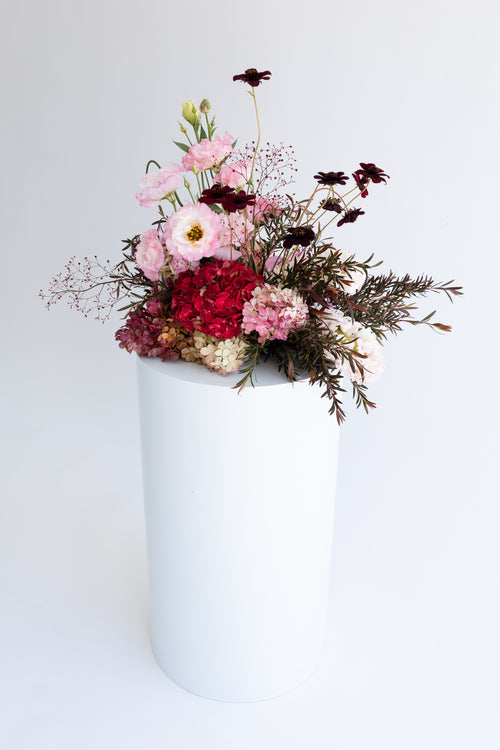 Reception Collection
