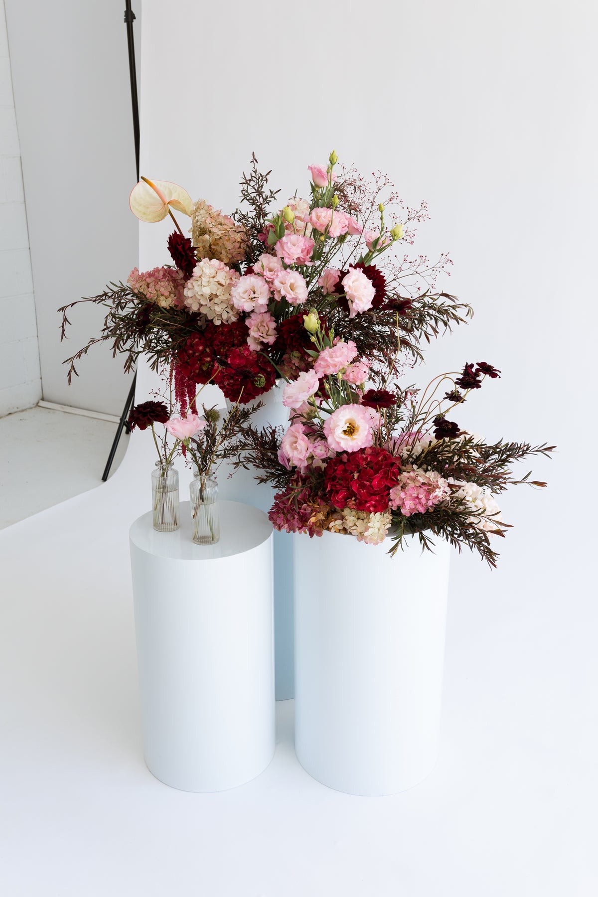 Reception Collection