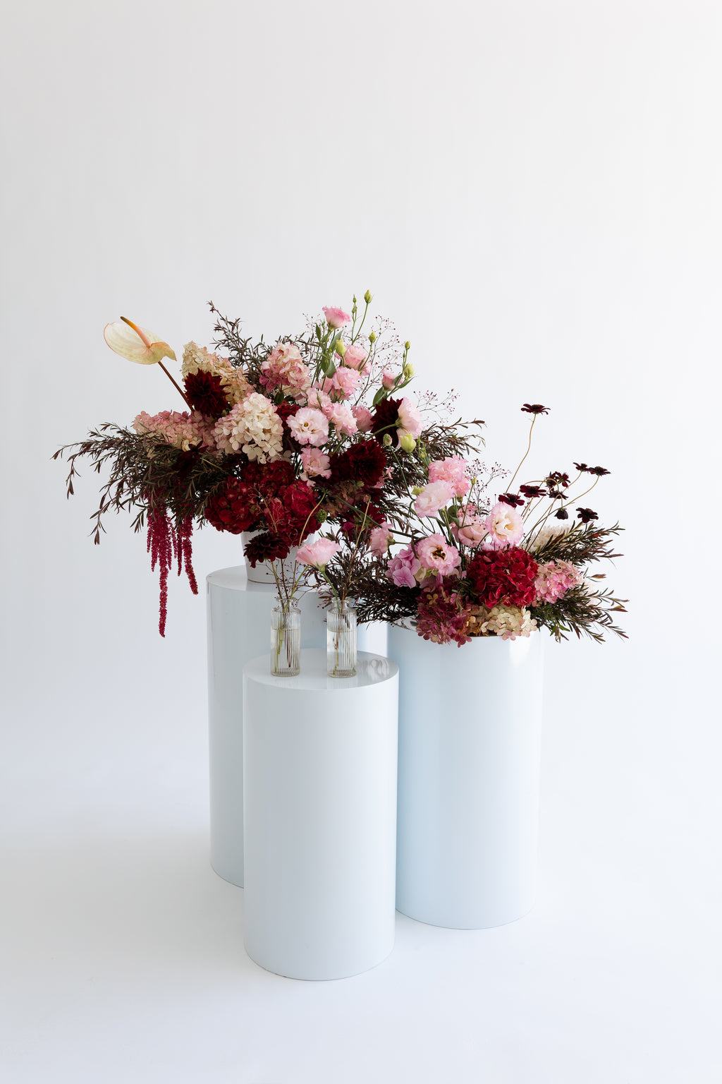 Reception Collection