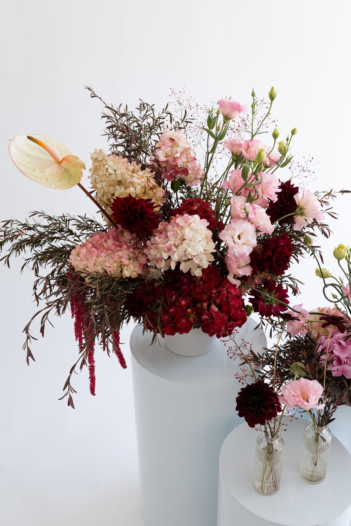 Reception Collection