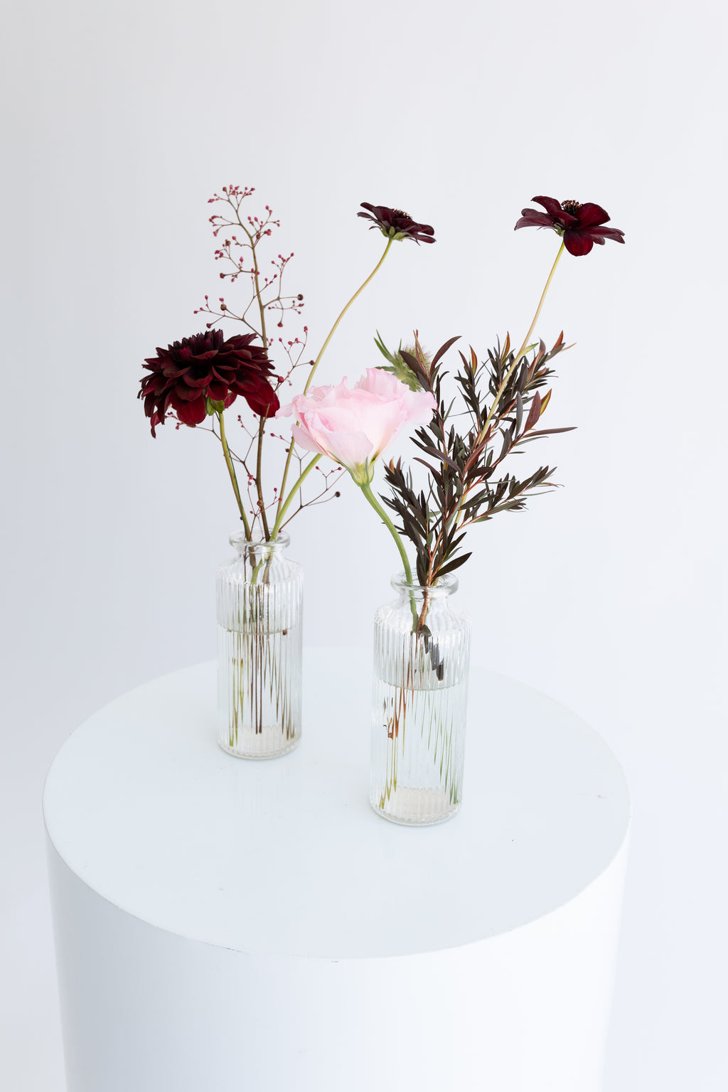 Reception Collection